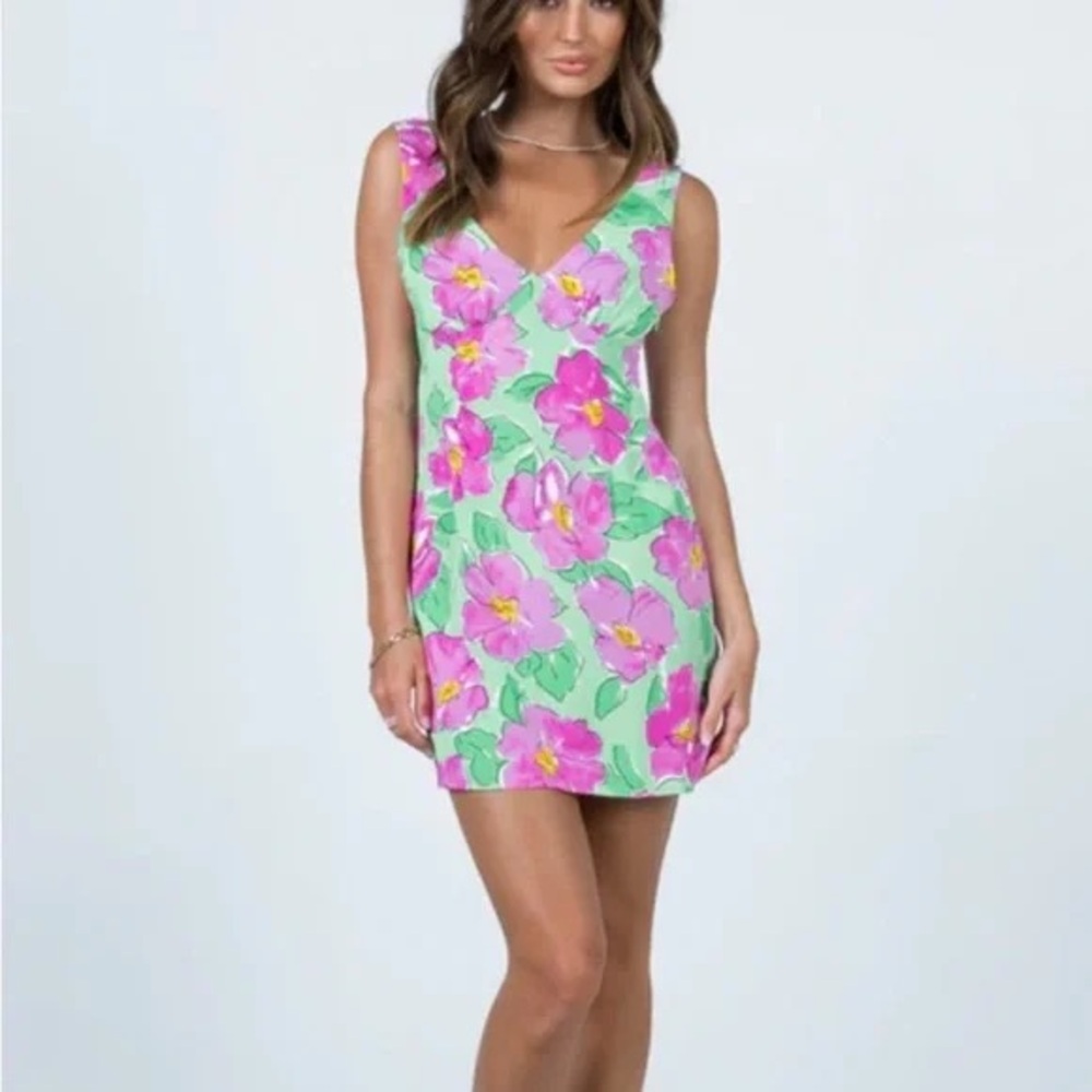 Princess Polly Quincy purple and green Floral Print Mini
Dress size 4